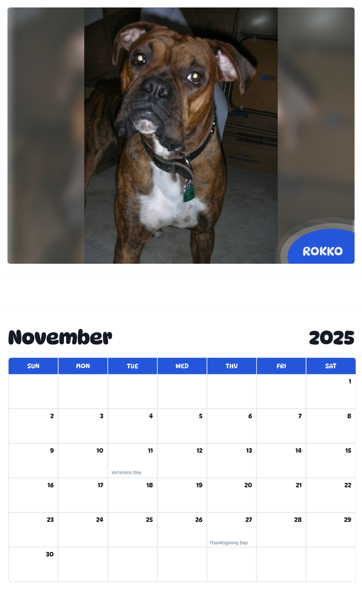 July 2025 - June 2026 Rokko - Pawidols Pet Calendar