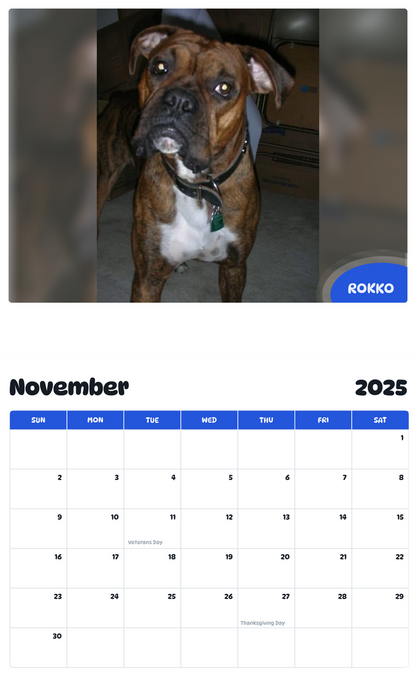 July 2025 - June 2026 Rokko - Pawidols Pet Calendar