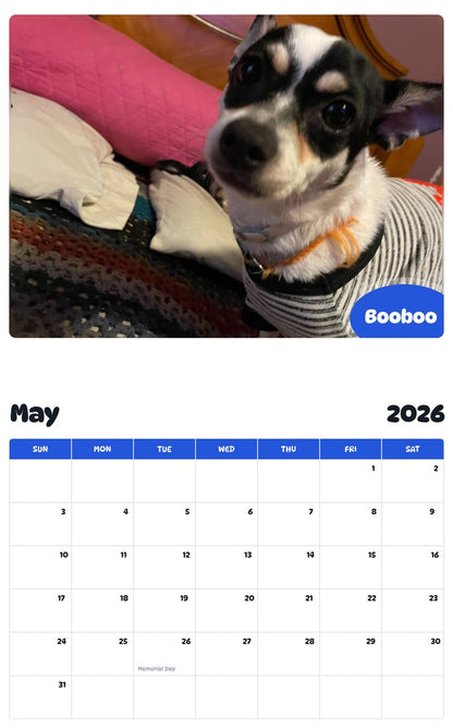 2026 - 2027 Booboo - Pawidols Pet Calendar