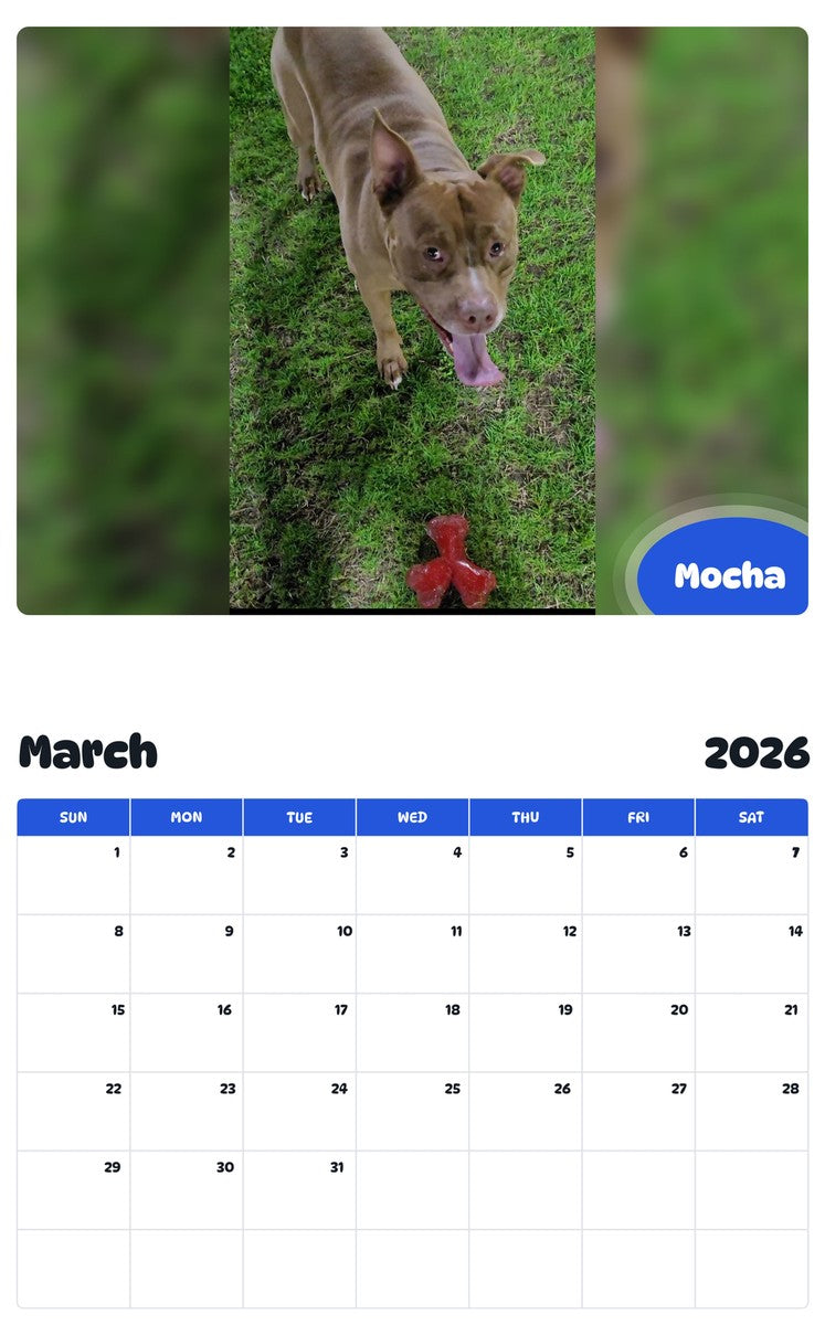 November 2025 - October 2026 Mocha - Pawidols Pet Calendar