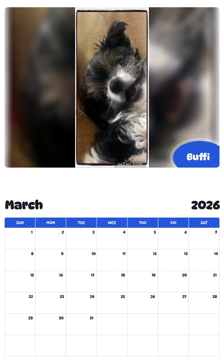 November 2025 - October 2026 Buffi - Pawidols Pet Calendar