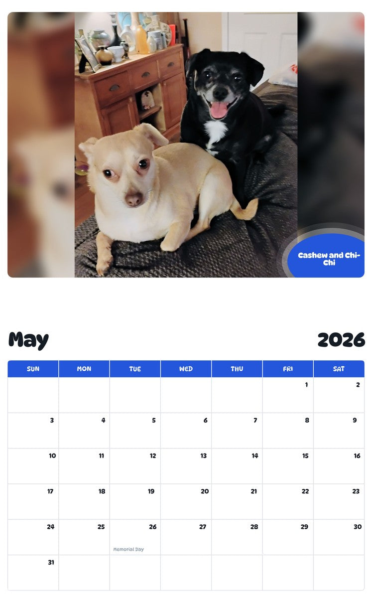 2026 - 2027 Cashew and Chi-Chi - Pawidols Pet Calendar