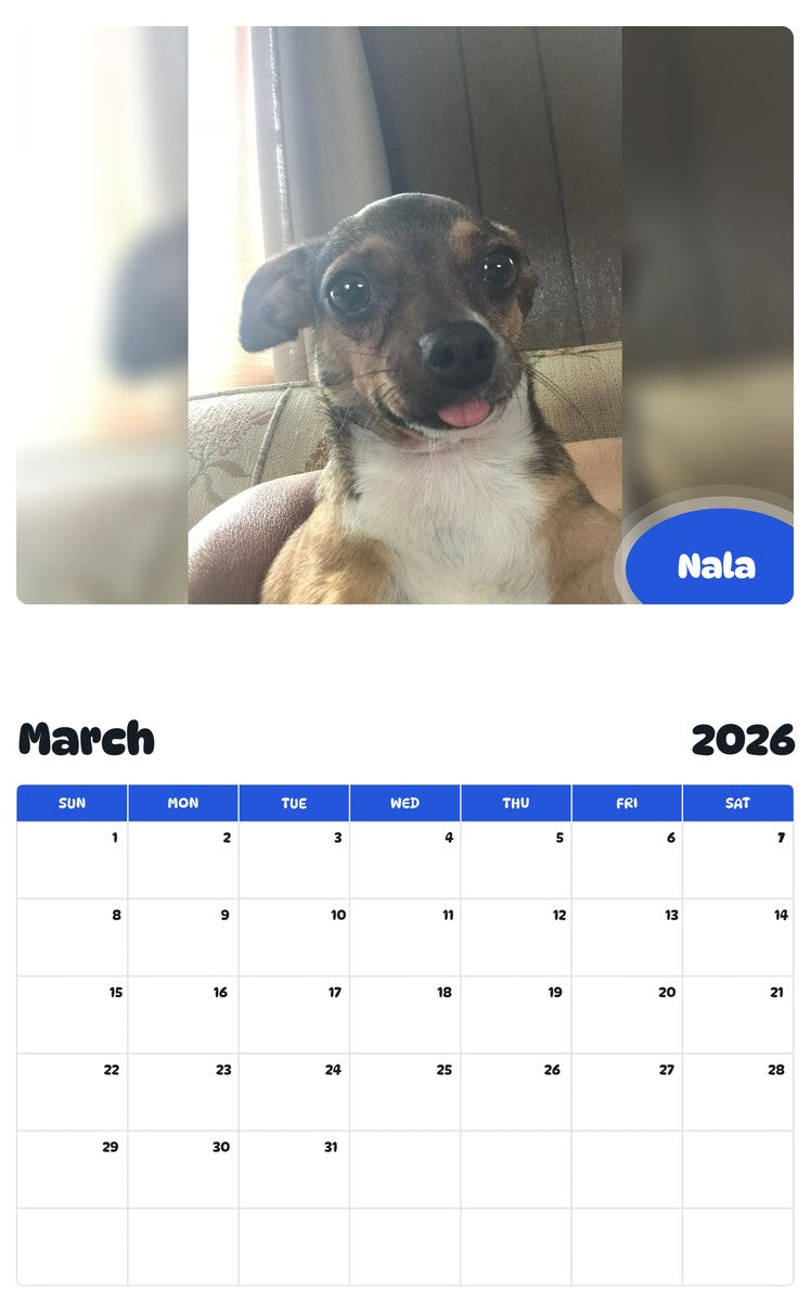 November 2025 - October 2026 Nala - Pawidols Pet Calendar