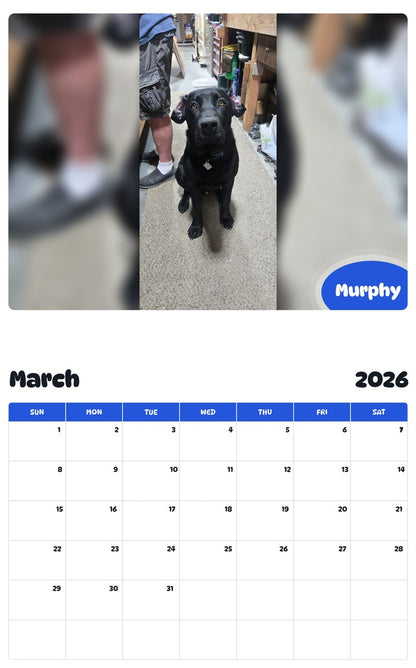 November 2025 - October 2026 Murphy - Pawidols Pet Calendar