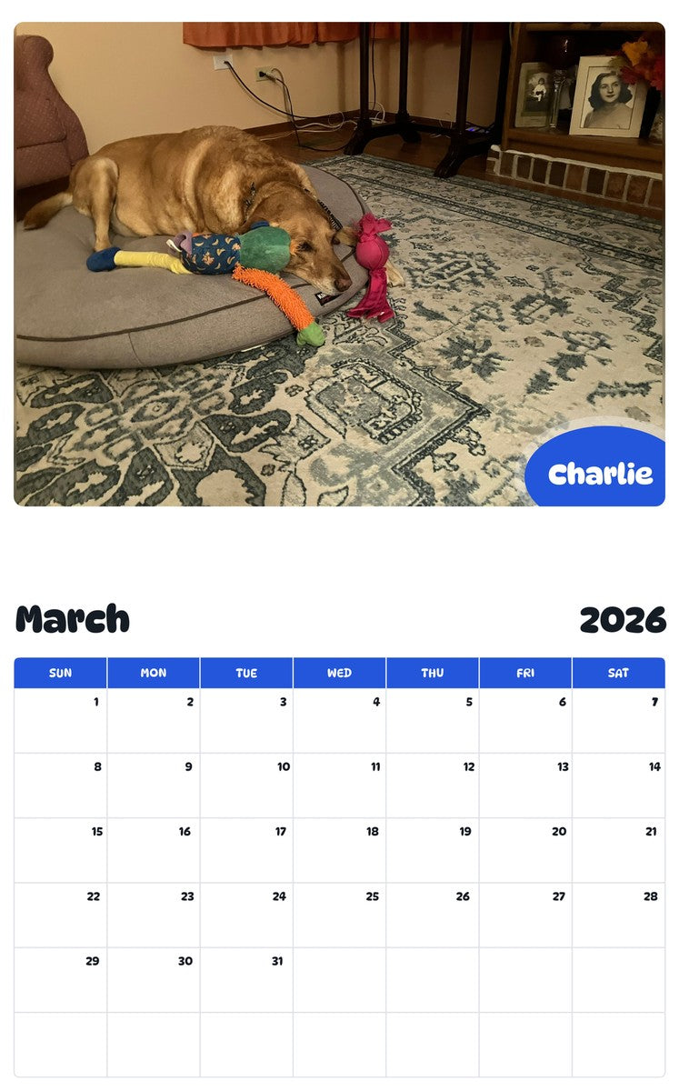 November 2025 - October 2026 Charlie - Pawidols Pet Calendar