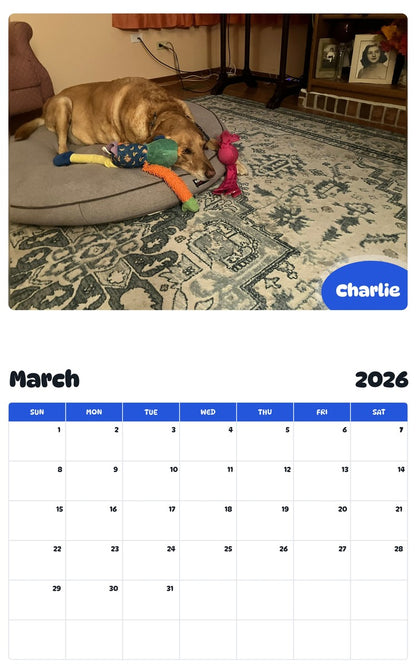 November 2025 - October 2026 Charlie - Pawidols Pet Calendar