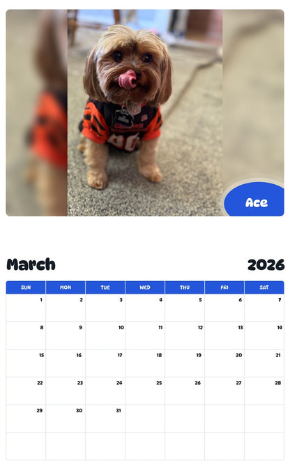 November 2025 - October 2026 Ace - Pawidols Pet Calendar