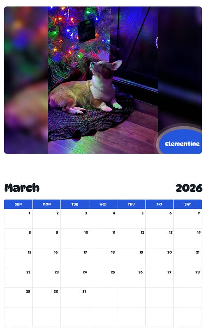 November 2025 - October 2026 Clementine - Pawidols Pet Calendar