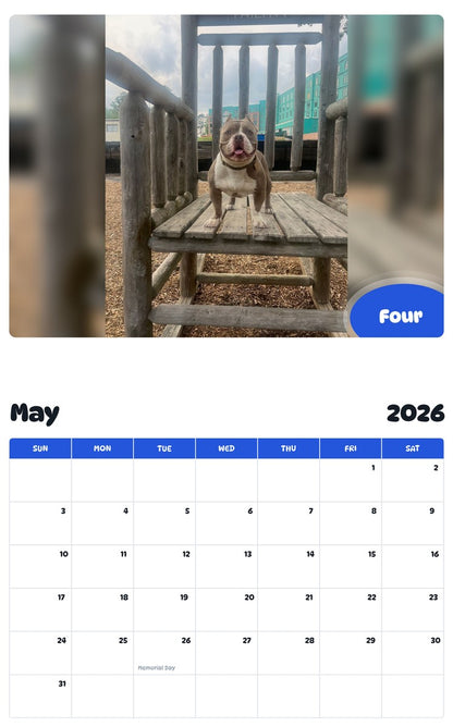 2026 - 2027 Four - Pawidols Pet Calendar