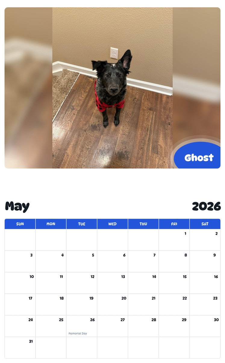 2026 - 2027 Ghost - Pawidols Pet Calendar