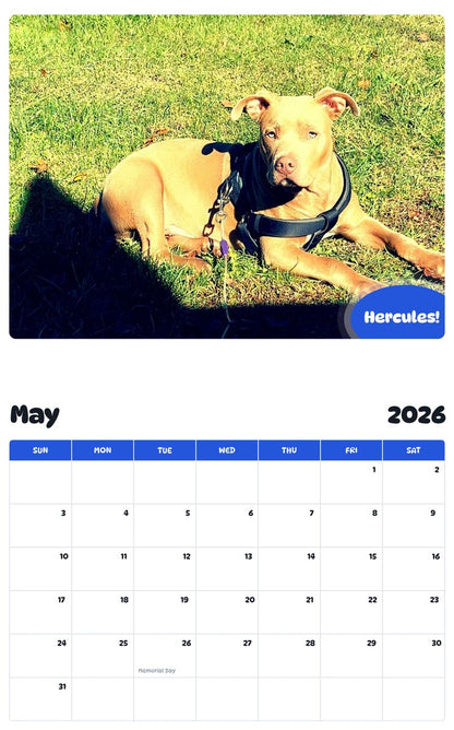 2026 - 2027 Hercules! - Pawidols Pet Calendar