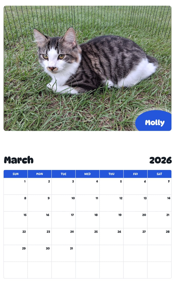 November 2025 - October 2026 Molly - Pawidols Pet Calendar