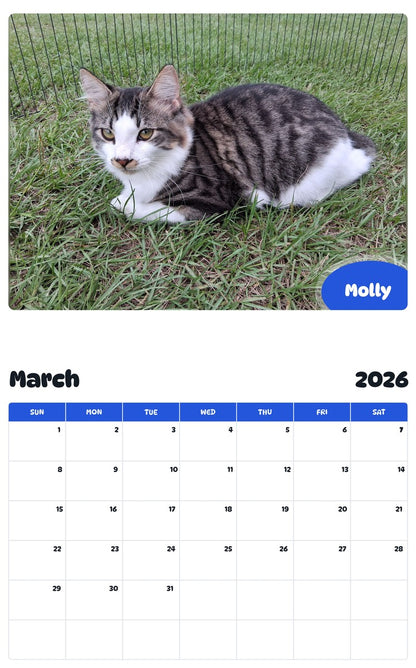 November 2025 - October 2026 Molly - Pawidols Pet Calendar