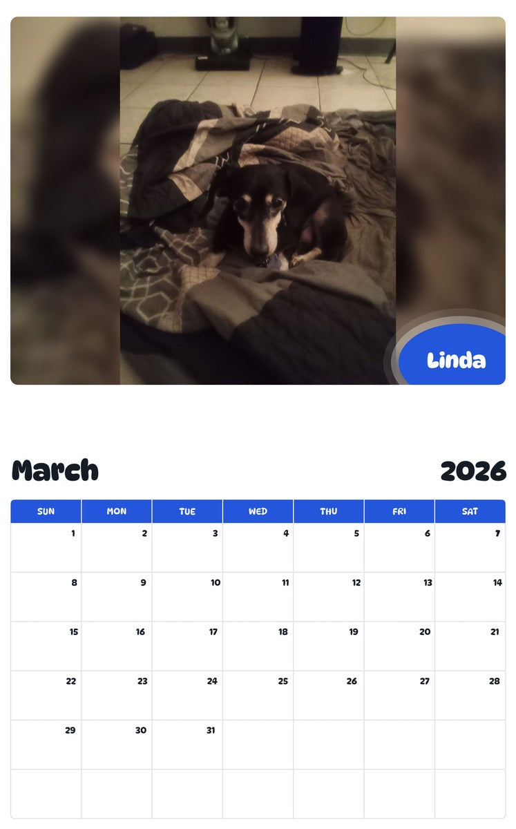 November 2025 - October 2026 Linda - Pawidols Pet Calendar