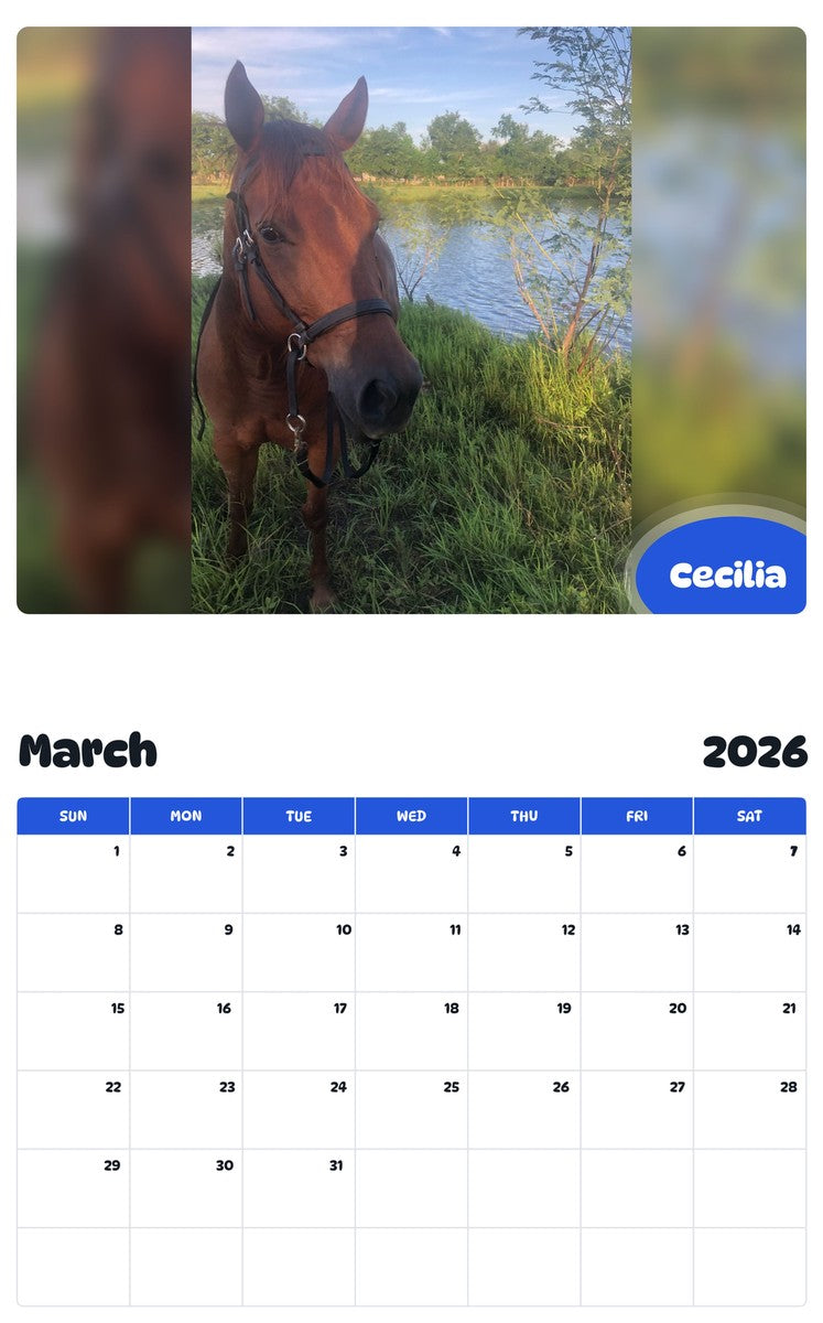 November 2025 - October 2026 Cecilia - Pawidols Pet Calendar