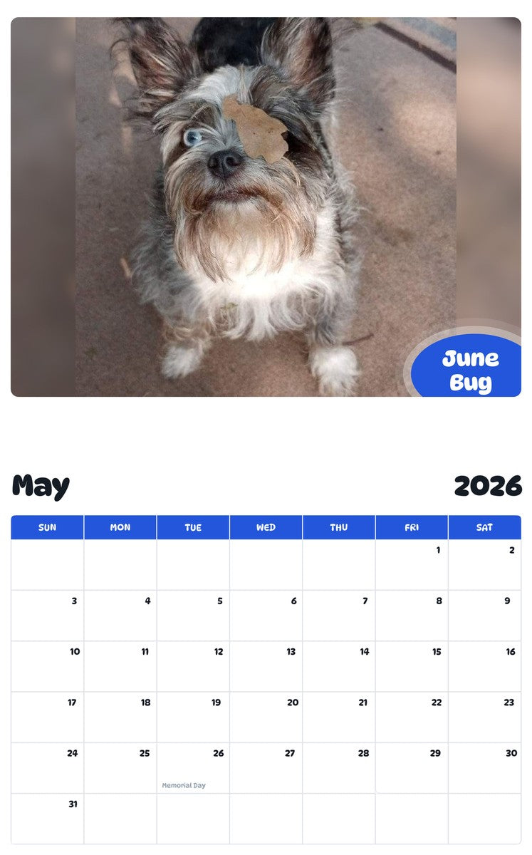 2026 - 2027 June Bug - Pawidols Pet Calendar