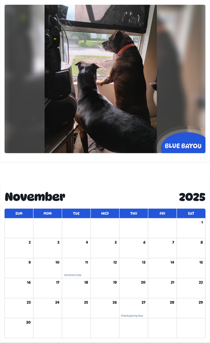 July 2025 - June 2026 Blue bayou - Pawidols Pet Calendar