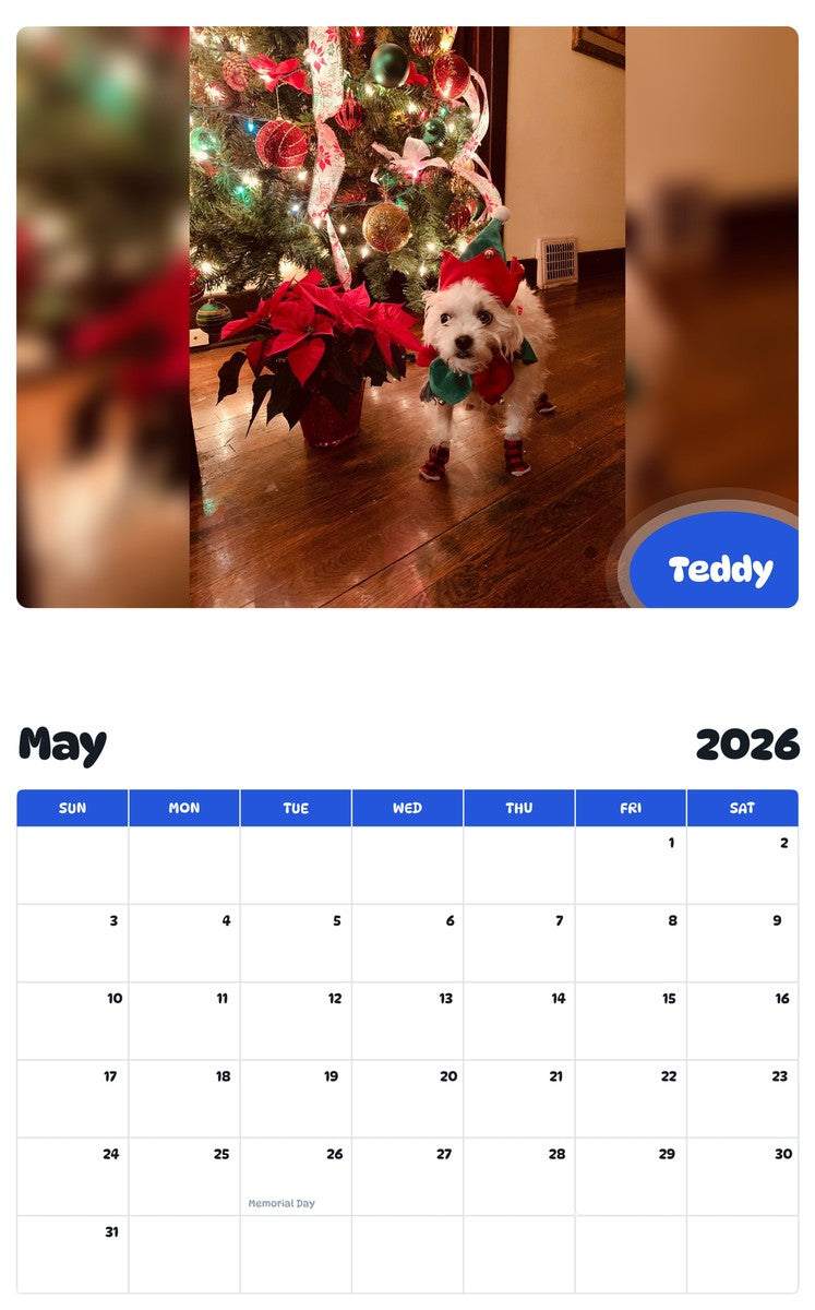 2026 - 2027 Teddy - Pawidols Pet Calendar