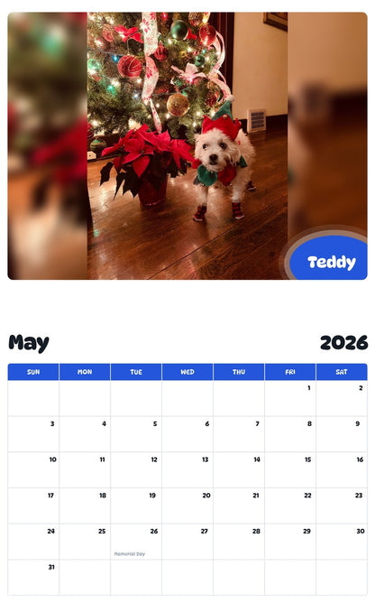 2026 - 2027 Teddy - Pawidols Pet Calendar