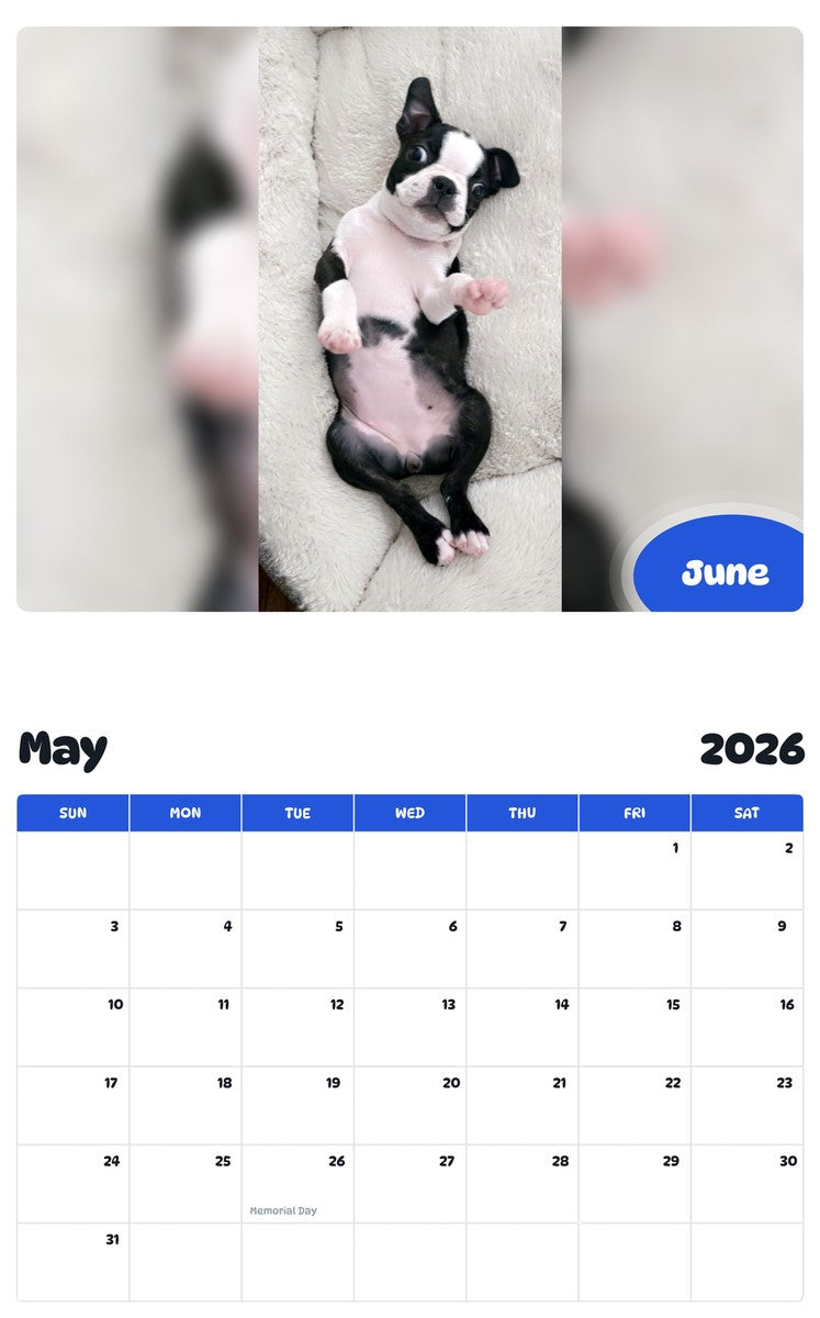 2026 - 2027 June - Pawidols Pet Calendar