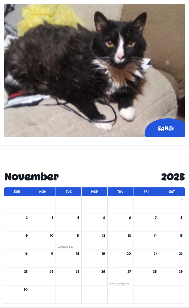 July 2025 - June 2026 Sanji - Pawidols Pet Calendar