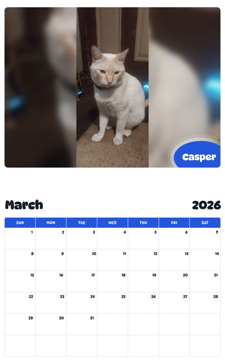 November 2025 - October 2026 Casper - Pawidols Pet Calendar