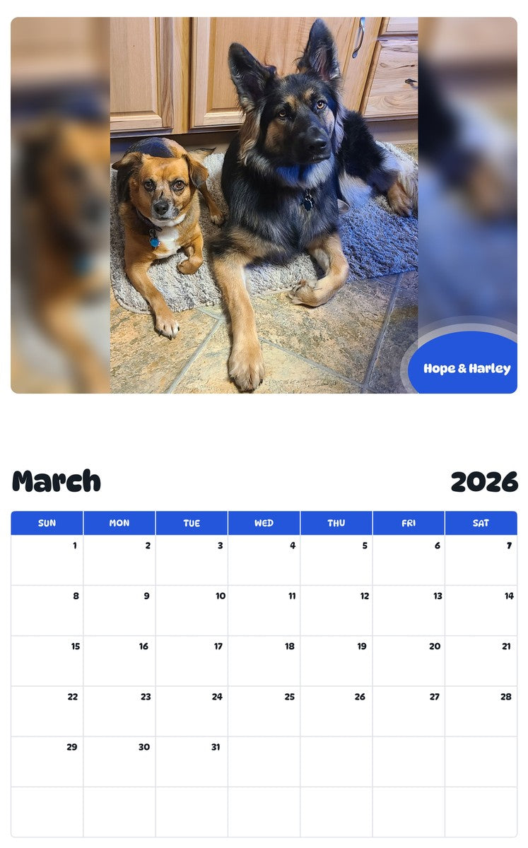 November 2025 - October 2026 Hope & Harley - Pawidols Pet Calendar