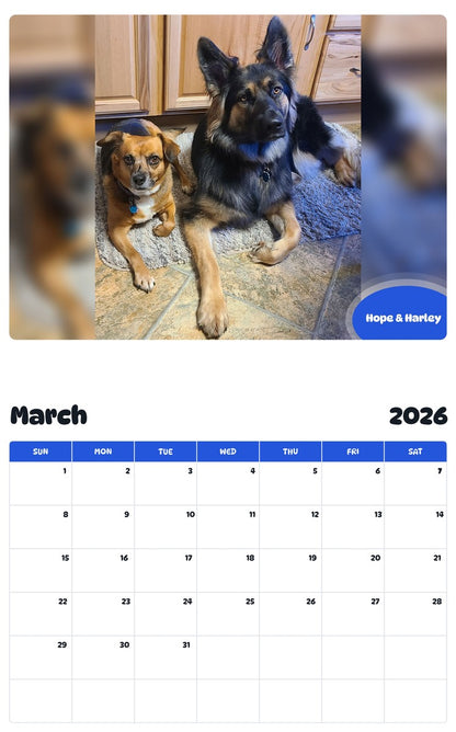 November 2025 - October 2026 Hope & Harley - Pawidols Pet Calendar