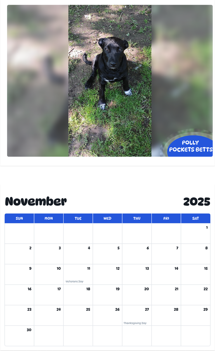 July 2025 - June 2026 Polly Pockets Betts - Pawidols Pet Calendar