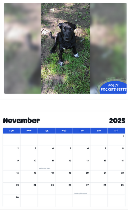 July 2025 - June 2026 Polly Pockets Betts - Pawidols Pet Calendar