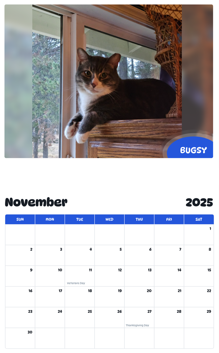 July 2025 - June 2026 Bugsy - Pawidols Pet Calendar