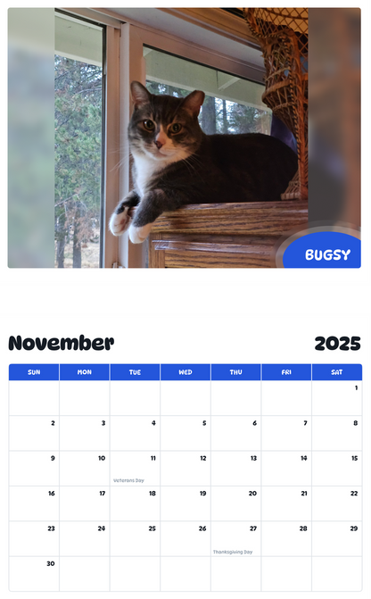 July 2025 - June 2026 Bugsy - Pawidols Pet Calendar