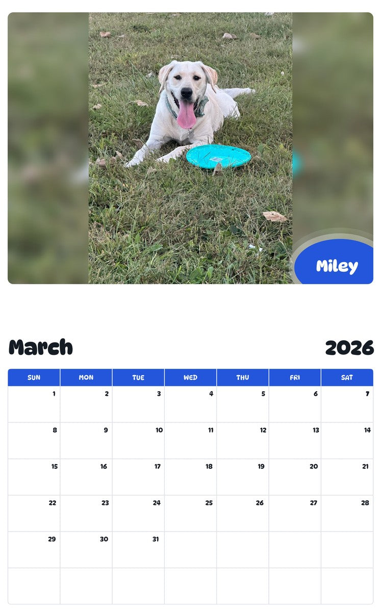 November 2025 - October 2026 Miley - Pawidols Pet Calendar