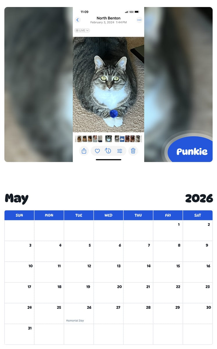 2026 - 2027 Punkie - Pawidols Pet Calendar