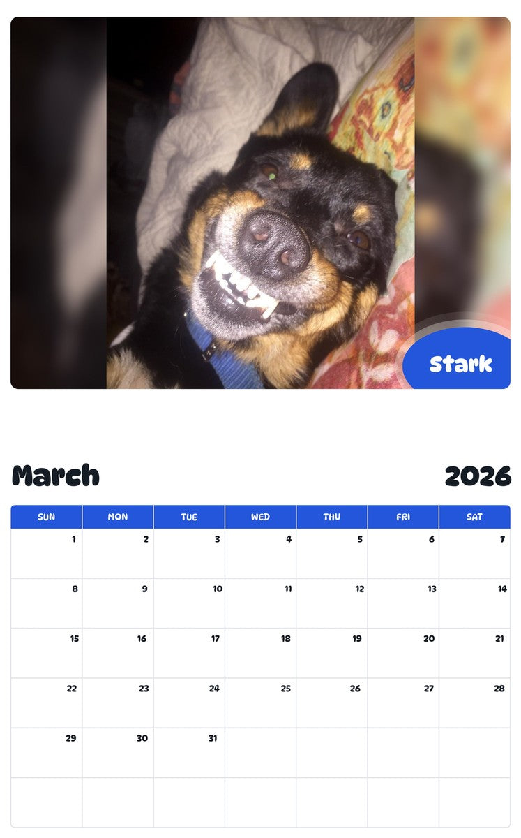 November 2025 - October 2026 Stark - Pawidols Pet Calendar
