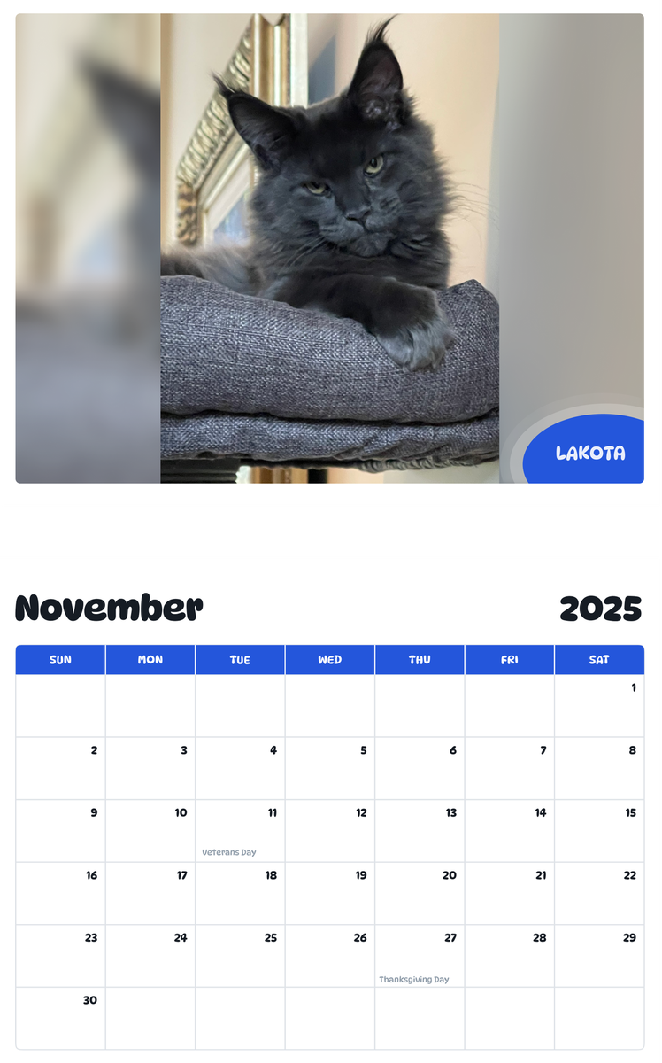 July 2025 - June 2026 Lakota - Pawidols Pet Calendar