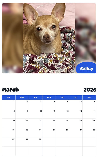November 2025 - October 2026 Bailey - Pawidols Pet Calendar