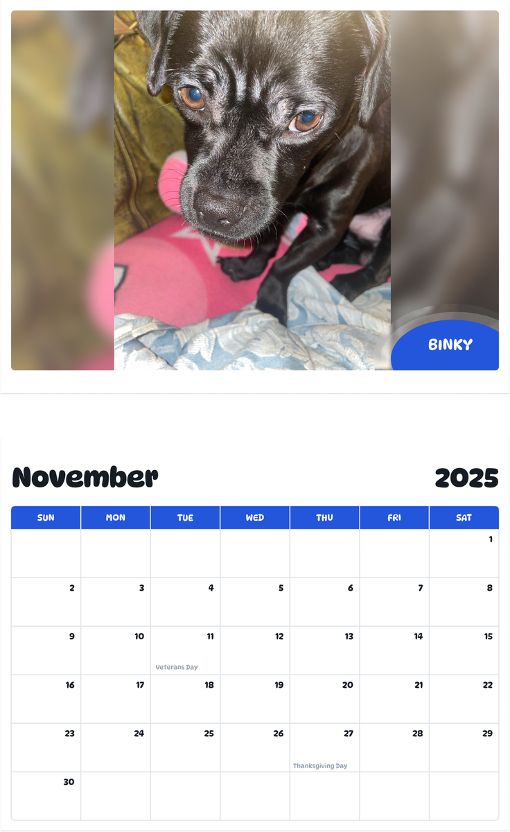 July 2025 - June 2026 Binky - Pawidols Pet Calendar