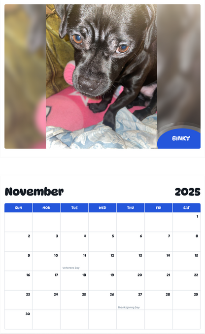 July 2025 - June 2026 Binky - Pawidols Pet Calendar