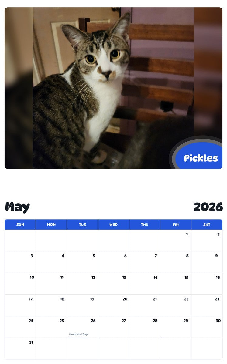2026 - 2027 Pickles - Pawidols Pet Calendar