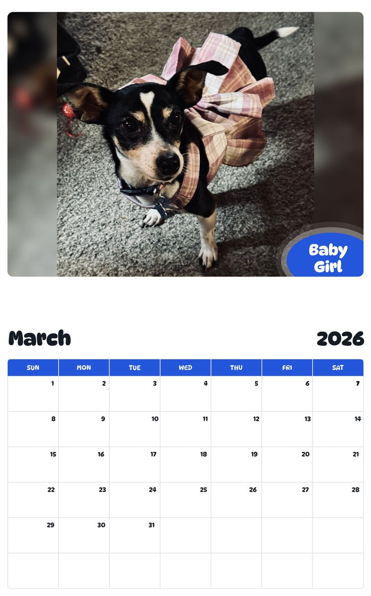 November 2025 - October 2026 Baby Girl - Pawidols Pet Calendar