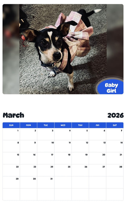 November 2025 - October 2026 Baby Girl - Pawidols Pet Calendar