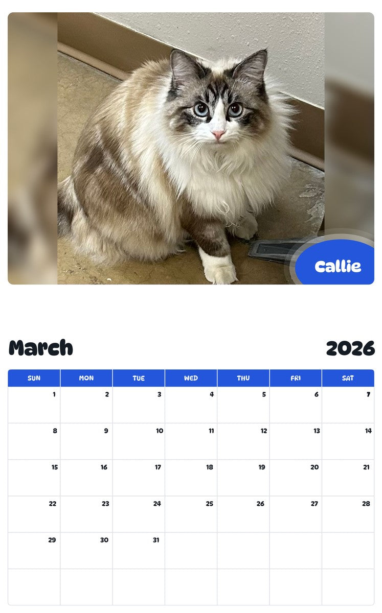November 2025 - October 2026 Callie - Pawidols Pet Calendar