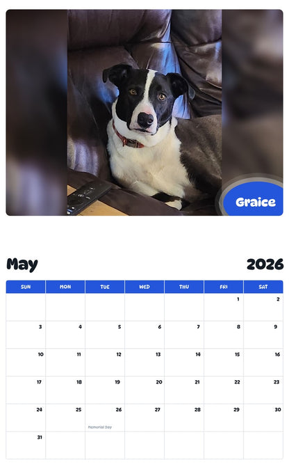 2026 - 2027 Graice - Pawidols Pet Calendar
