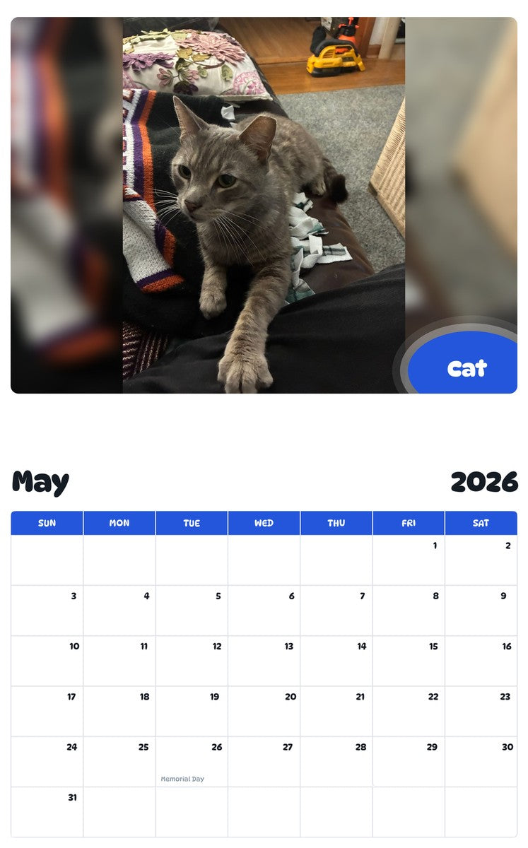 2026 - 2027 Cat - Pawidols Pet Calendar