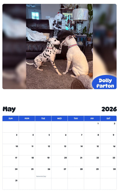 2026 - 2027 Dolly Parton - Pawidols Pet Calendar