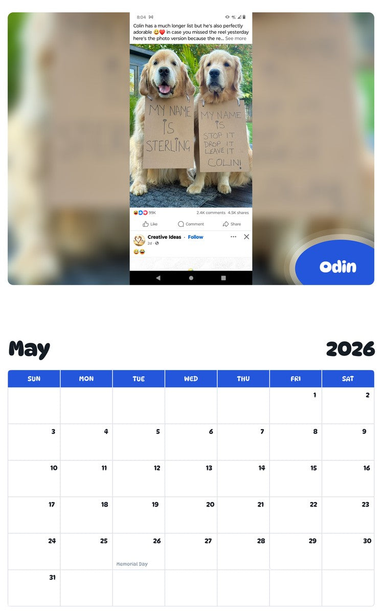 2026 - 2027 Odin - Pawidols Pet Calendar