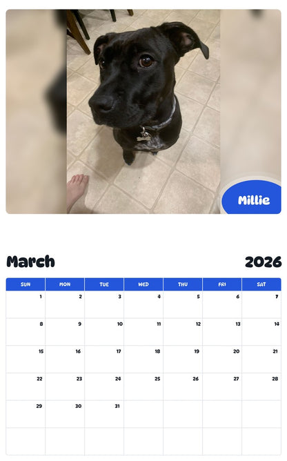 November 2025 - October 2026 Millie - Pawidols Pet Calendar