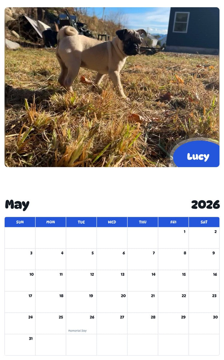 2026 - 2027 Lucy - Pawidols Pet Calendar