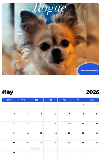 2026 - 2027 Rogue & Bacca ( litter sisters) - Pawidols Pet Calendar